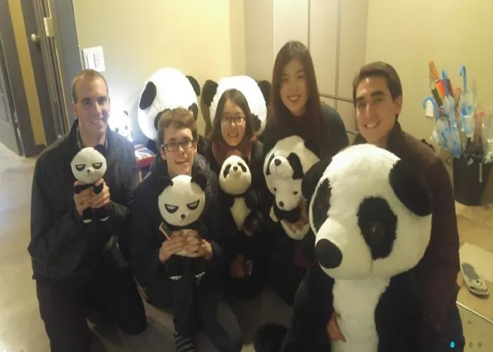 Panda Gasthuis 2*
